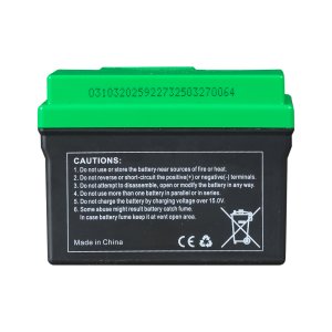 Аккумулятор FUBAG li-ion 3Ah для инверторного генератора TI 11000 A ES (арт. 646211) купить в Астрахани